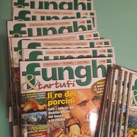 Riviste funghi