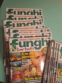 Riviste funghi