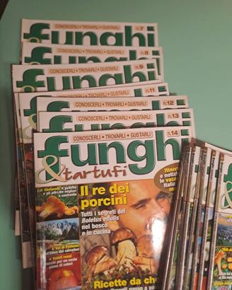 Riviste funghi