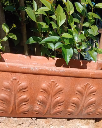 vasi in terracotta 
