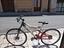 Immagine 5