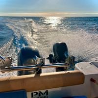 Barca Manta saver de Luxe Yamaha 150 cv 2011