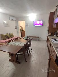 Appartamento con box auto e giardino