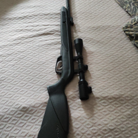 Gamo Black bear