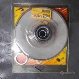 Correttori di coppia Malossi