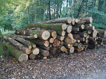 Legna da ardere di castagno in stanga