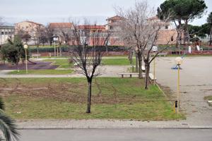 Cecina: TRANSITORIO DA SETTEMBRE A GIUGNO