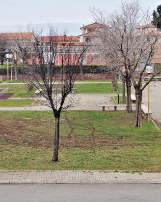 Cecina: TRANSITORIO DA SETTEMBRE A GIUGNO