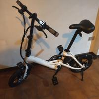 Bicicletta elettrica Fiido D3 Pro