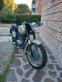 Gilera 175 Super 202 - 1967