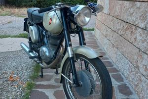 Gilera 175 Super 202 - 1967
