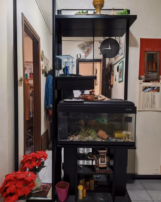 camera da letto in legno massello