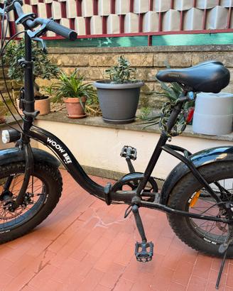 Bicicletta be bike fat