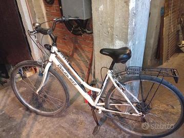 bicicletta diametro 28