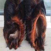 Sabot in legno artigianali