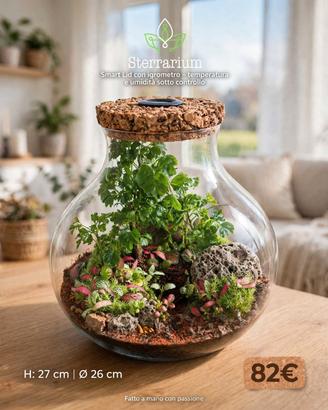 terrarium tropicale 