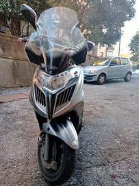 GRAN DINK 300 ANNO 2017