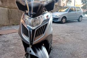 GRAN DINK 300 ANNO 2017