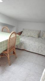 Mansarda 4 posti letto a 4 passi dal mare 1/15-08