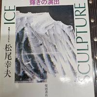 scultura ghiaccio libro fotografico