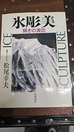 scultura ghiaccio libro fotografico