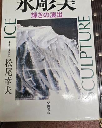 scultura ghiaccio libro fotografico
