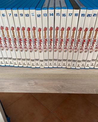 Esplorando Il corpo umano