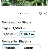 finta siepe phottinia 300cm×150cm