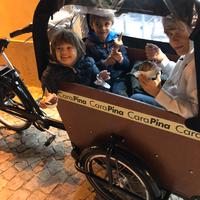 cargo bike