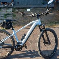 E-MTB