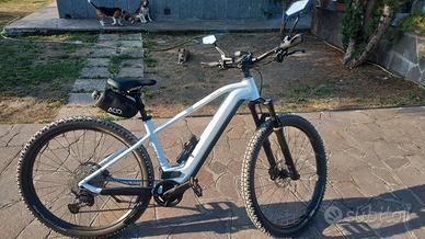 E-MTB