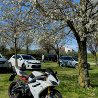 Triumph Daytona 675 r 2011