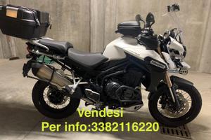 Treiumph tiger explorer  1250