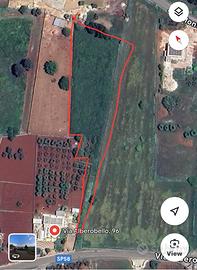 Terreno agricolo via alberobello