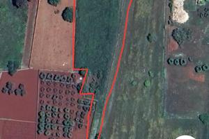 Terreno agricolo via alberobello