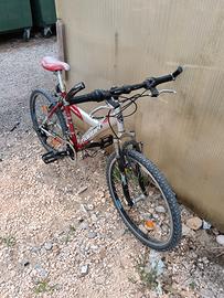 MTB per bambino 