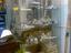 Immagine 1