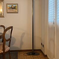 Luce piantana