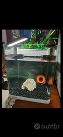 Acquario di 20 l
