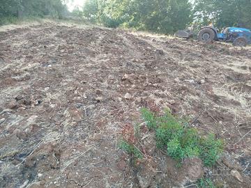 terreno seminativo con pozzo