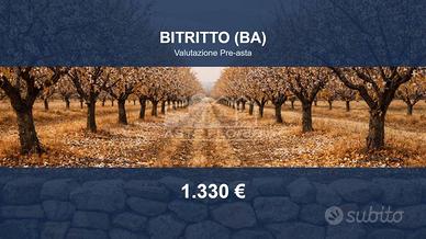 Immobile in asta di 892 m² a Bitritto