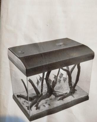 acquario 