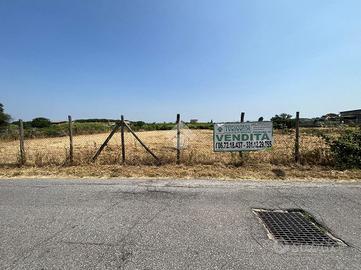 TER. AGRICOLO A ROMA