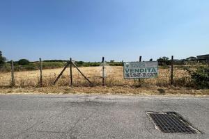 TER. AGRICOLO A ROMA