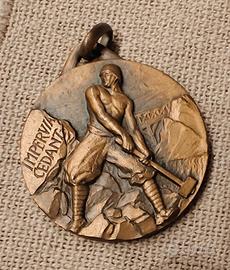 medaglia militare 5 Reggimento genio regio esercit