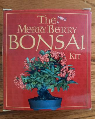 The Merry Berry Bonsai Kit