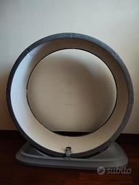 Ruota per gatto