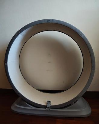Ruota per gatto