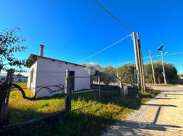 RUSTICO A LANUVIO