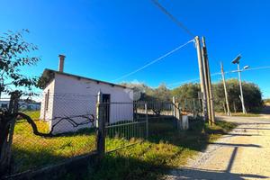 RUSTICO A LANUVIO